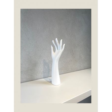 Une main gauche de presentation de profil Une main gauche de presentation de profil