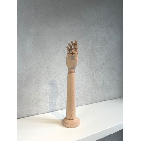 Main femme de présentation Main femme de présentation