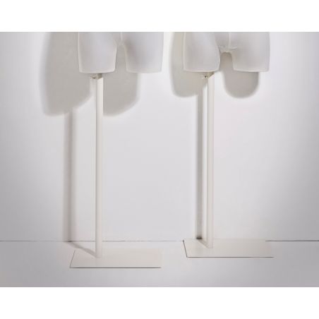 deux bases de buste blanc deux bases de buste blanc
